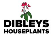 Dibleys Houseplants