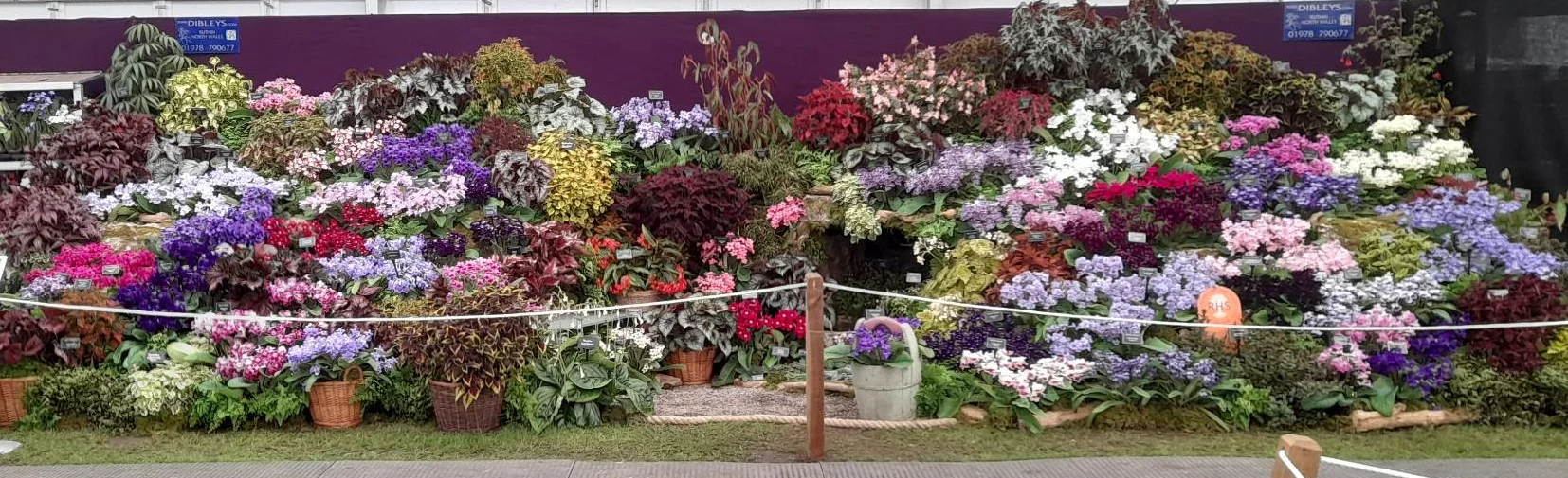 Bring Nature’s Finest Indoors